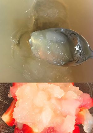 A picture of Agar Agar Diet 2: Soft Kanten (Agar) Gelée (cancer-fighting?).