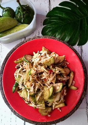 Foto resep Karedok terong,timun, kol
