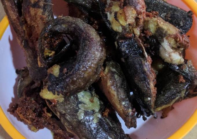 Cara Bikin Lele goreng bumbu kuning Untuk Pemula