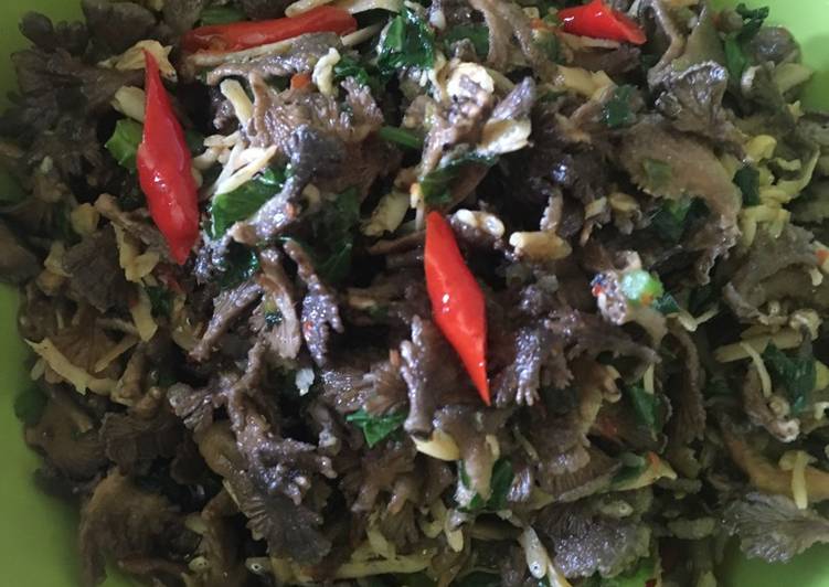 Resep Tumis pedas jamur kayu/gerigit teri medan yang Sempurna