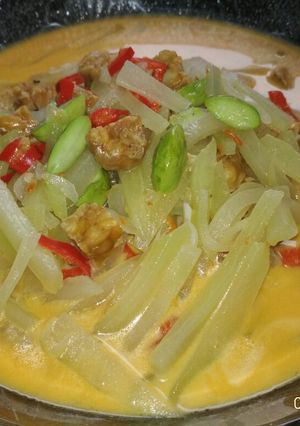 Foto resep 35. Sayur Santan Labu Siam Petai Pedas