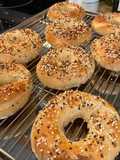 Everything Bagels