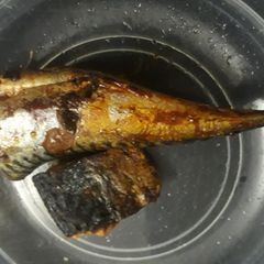 Oven grilled fish A picture of Oven grilled fish.