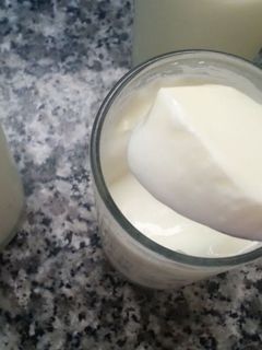 صورة لوصفة عمل الزبادي في البيت