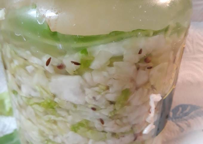 Steps to Make Quick Fermented Sauerkraut Batch 9