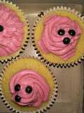Cup cake markisa