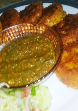 A picture of Shami Kabab.