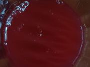 Una foto de limonada de frutos rojos
