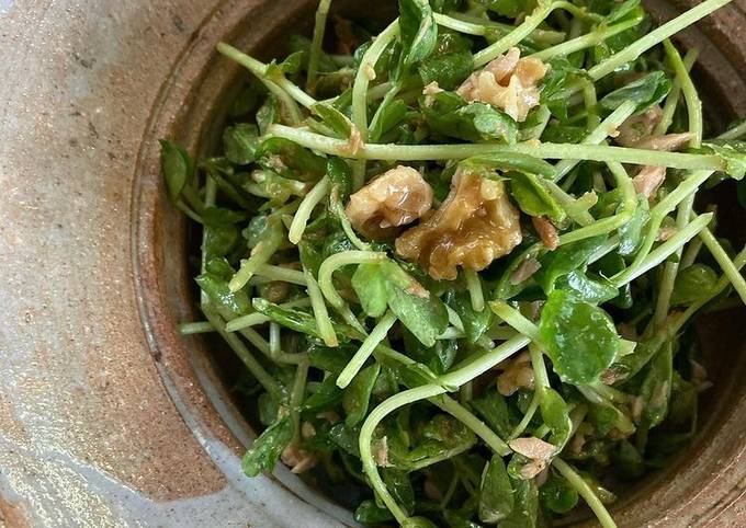 Easiest Way to Make Quick Pea Sprouts and Canned Tuna Salad with Soy Sauce and Sesame