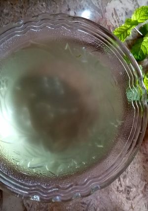 A picture of ShikanjabeenSyrup.