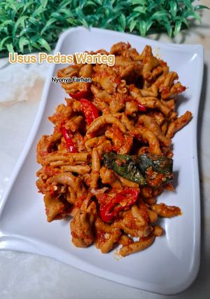 Foto resep Usus Ayam Pedas ala Warteg