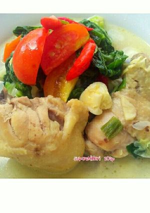 Foto resep Ayam sayur kuah santan