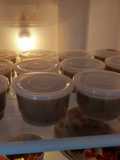 Puding Cappuchino Cincau Cup
