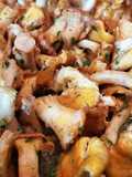 Poêlée de girolles en persillade