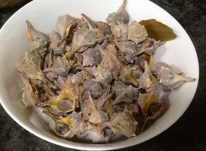 Foto principal de Cañaíllas cocidas con laurel al estilo de la iaia