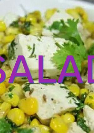A picture of Soya Paneer corn salad.