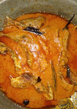 Foto resep Ikan masak santan