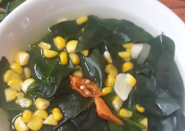 Sayur Bening Katuk Jagung