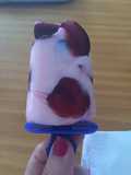Polos de sabores
