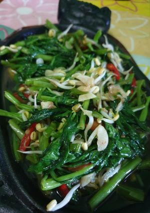 Foto resep Tumis kangkung cah toge
