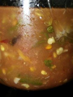 A picture of Salsa.