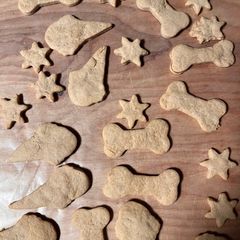 A picture of Homemade biscuits/treats for 🐶🐕🐩🦮🐕‍🦺.