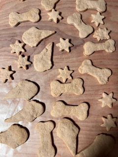 A picture of Homemade biscuits/treats for 🐶🐕🐩🦮🐕🦺.