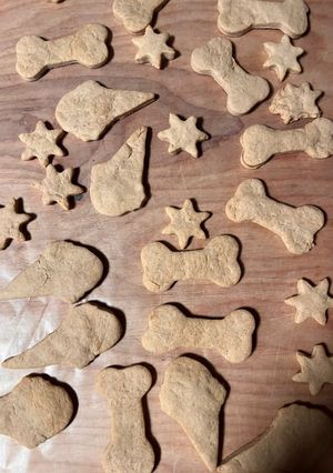 A picture of Homemade biscuits/treats for 🐶🐕🐩🦮🐕‍🦺.