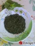 Drying spearmint