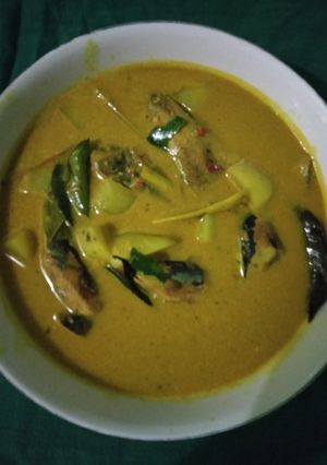Foto resep Tongkol santan kentang