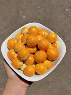 Foto resep Nastar teflon 1 kuning telur