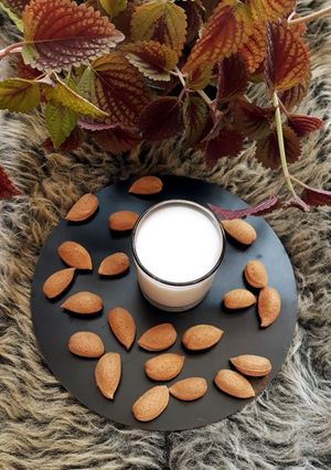 عکسی از دستور شیربادام