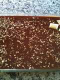 Cookie and Custard Cake