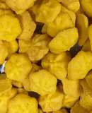Vanilla custard coin cookies