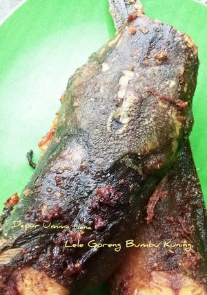 Foto resep Lele Goreng Bumbu Kuning
