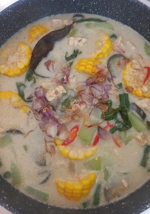 Foto resep ✨Sayur Lodeh✨