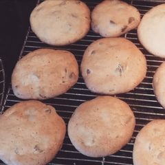 A picture of Uncle Ron's Chocolate Chip Cookies.