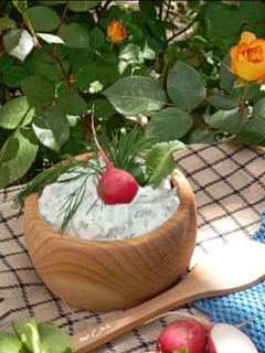 عکسی از دستور دیپ تربچه و شوید (ماست و تربچه)