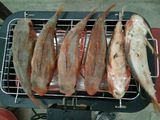 Cá tắc kè nướng