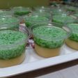 Pudding Lumut