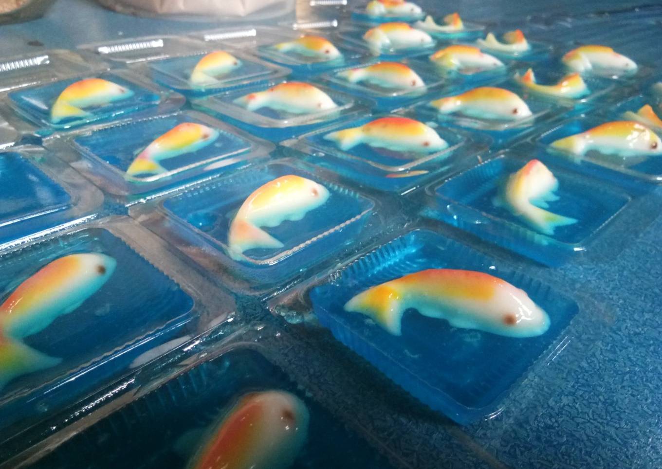 Jelly ikan koi