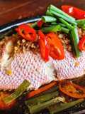 Ikan Tim Kakap