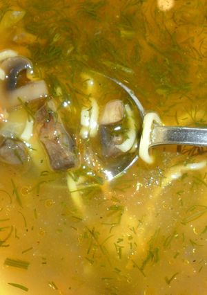 Фото Суп с грибами и макаронами.