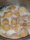 Dahi mangodi