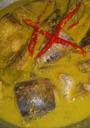 Foto resep Ikan tongkol bumbu kuning ala RM padang