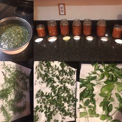 A picture of Hawes Family fresh marinara.