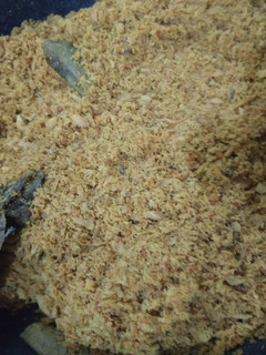 Foto resep Abon ikan tuna