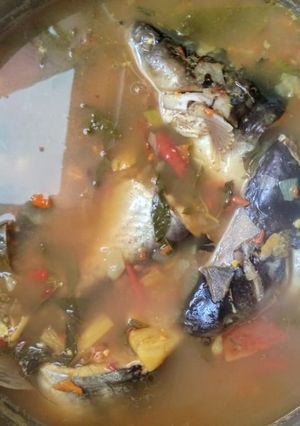 Foto resep Pindang patin pedes segeeerrr.. 😘