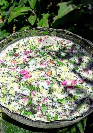 عکسی از دستور آب دوغ خیار