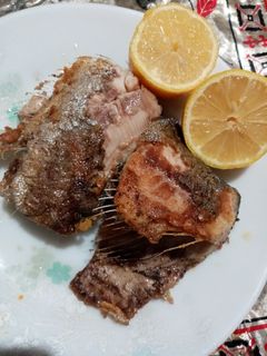 عکسی از دستور ماهی